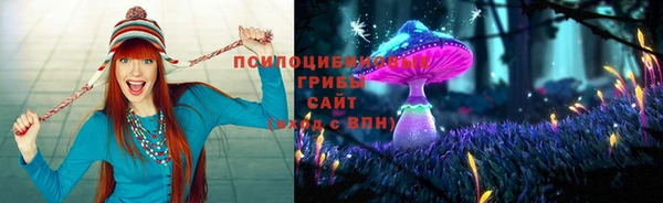 кокаин колумбия Белокуриха