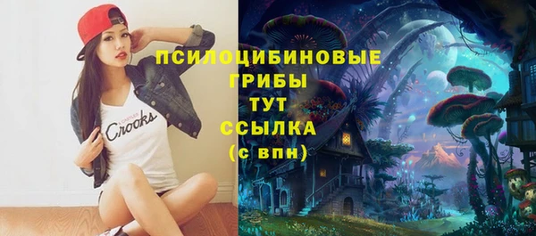 прущий лед Белоозёрский